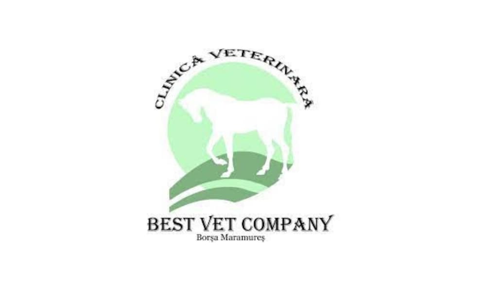 52 best vet