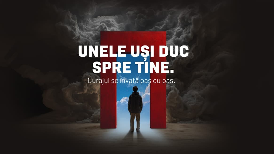 Articol unele usi