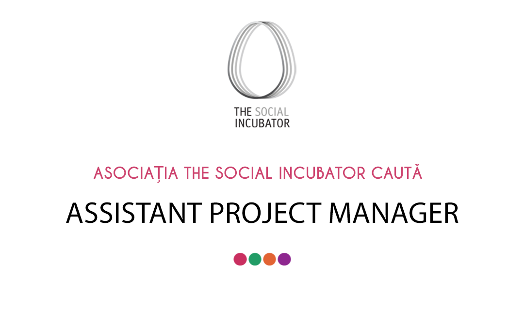 ASSISTANT PROJECT MANAGER