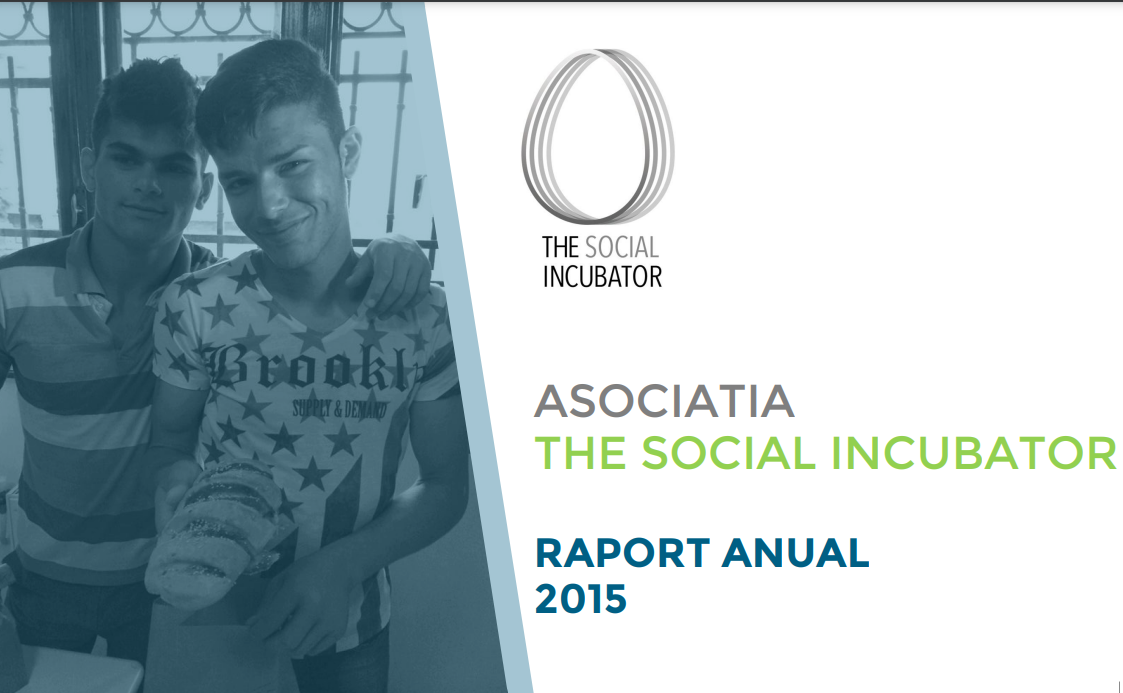 Raport anual 2015