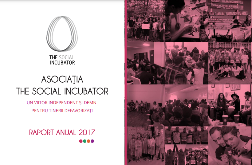 Raport anual 2017