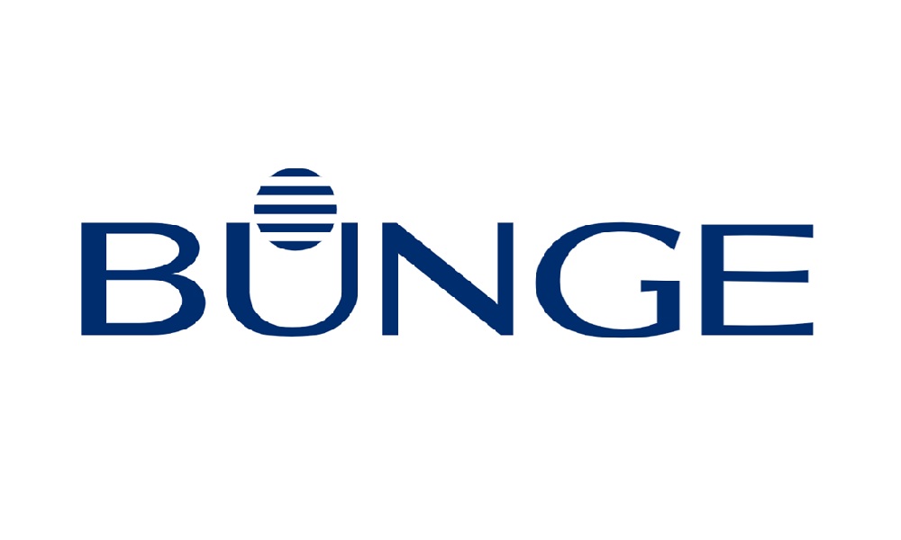 bungee logo